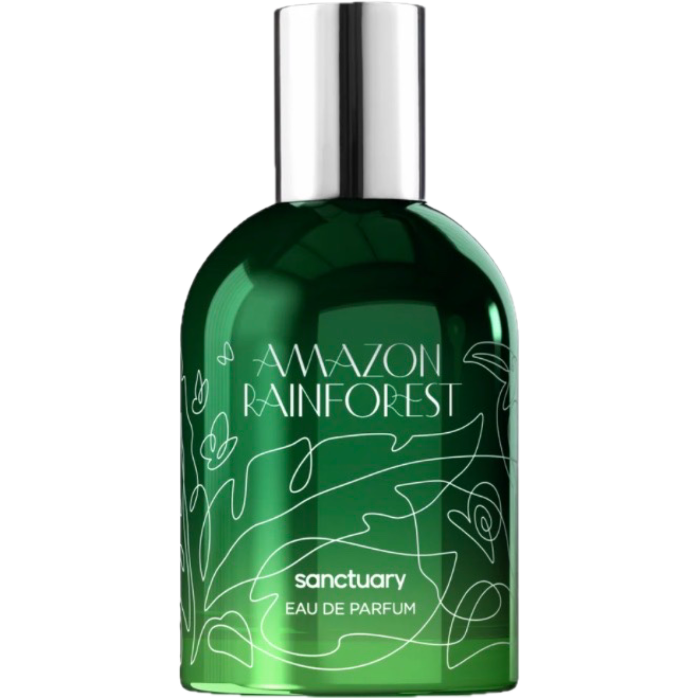 Amazon Rainforest by Sanctuary