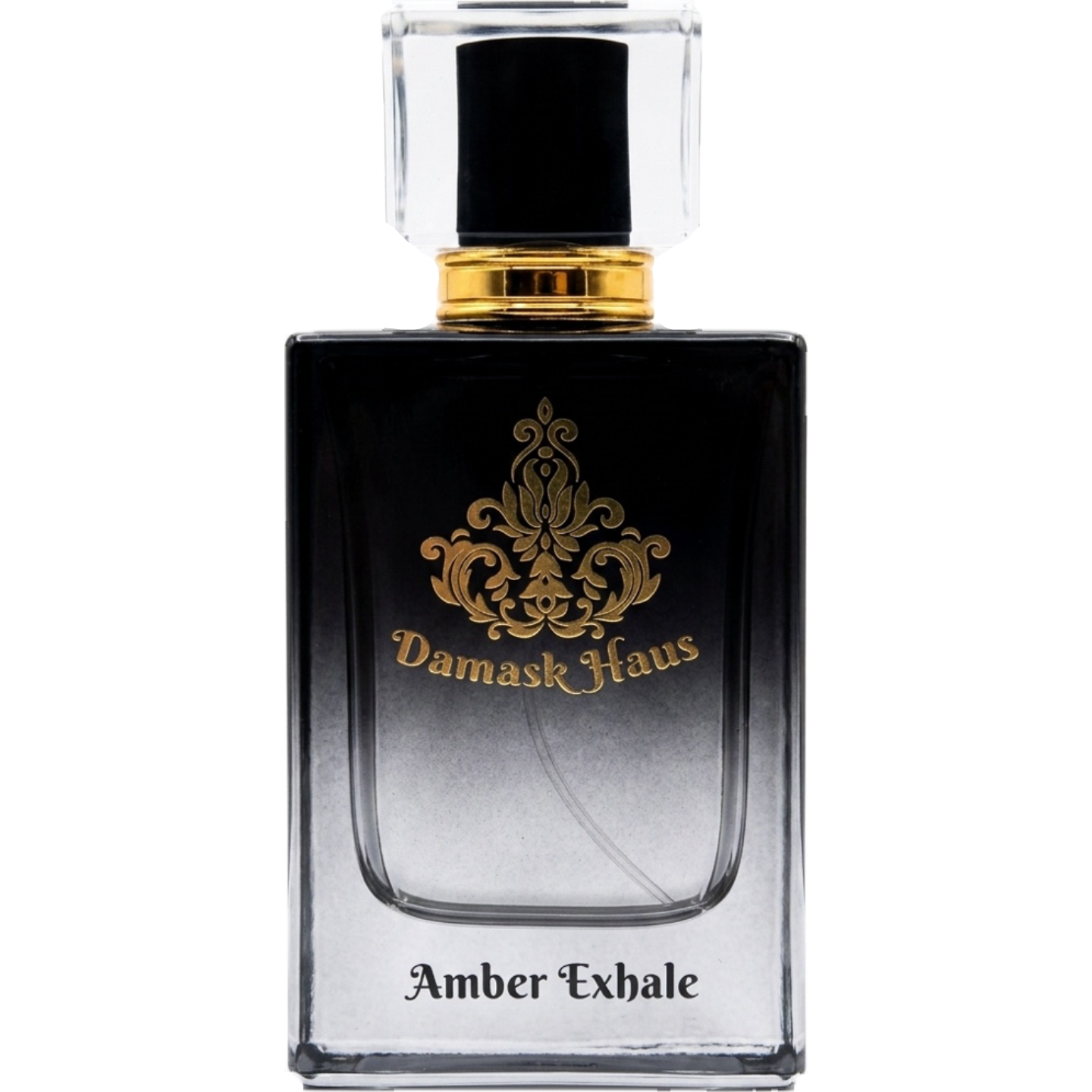 Amber Exhale by Damask Haus