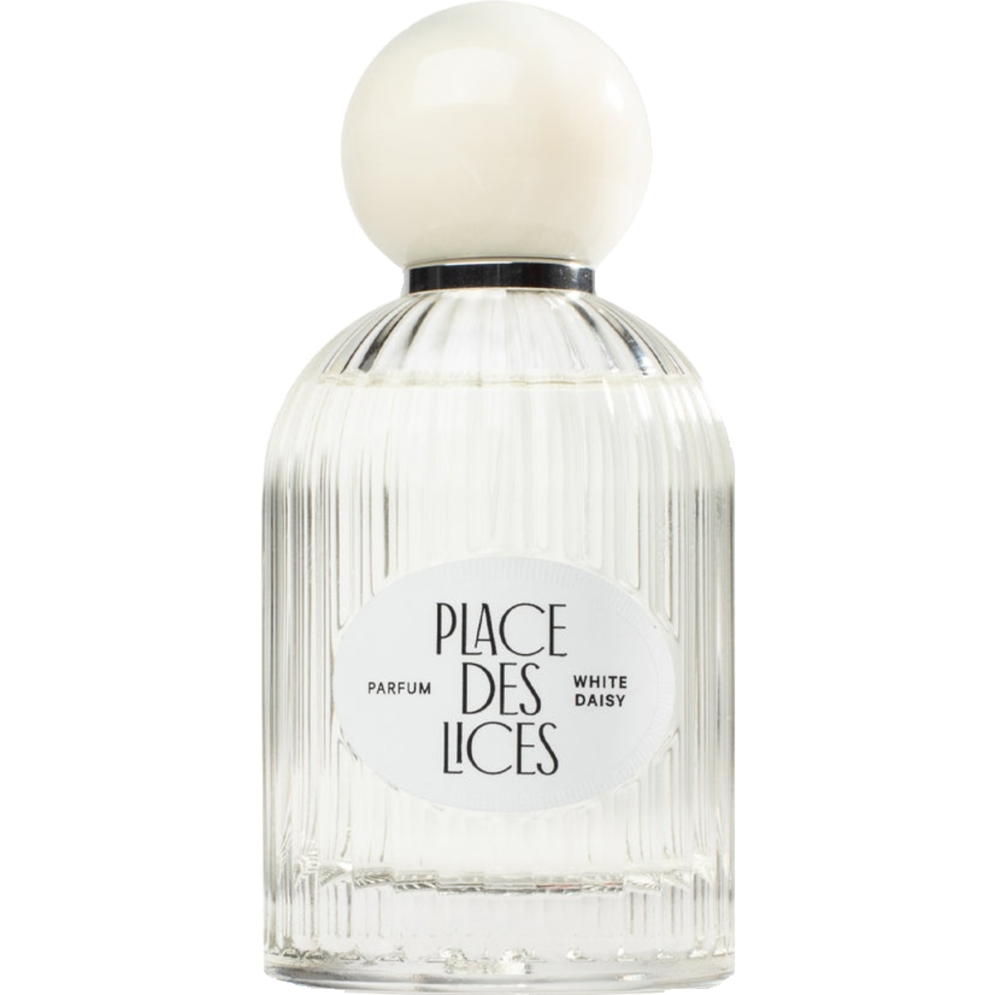 White Daisy by Place Des Lices