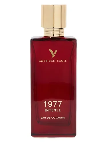 AEO 1977 Intense by American Eagle