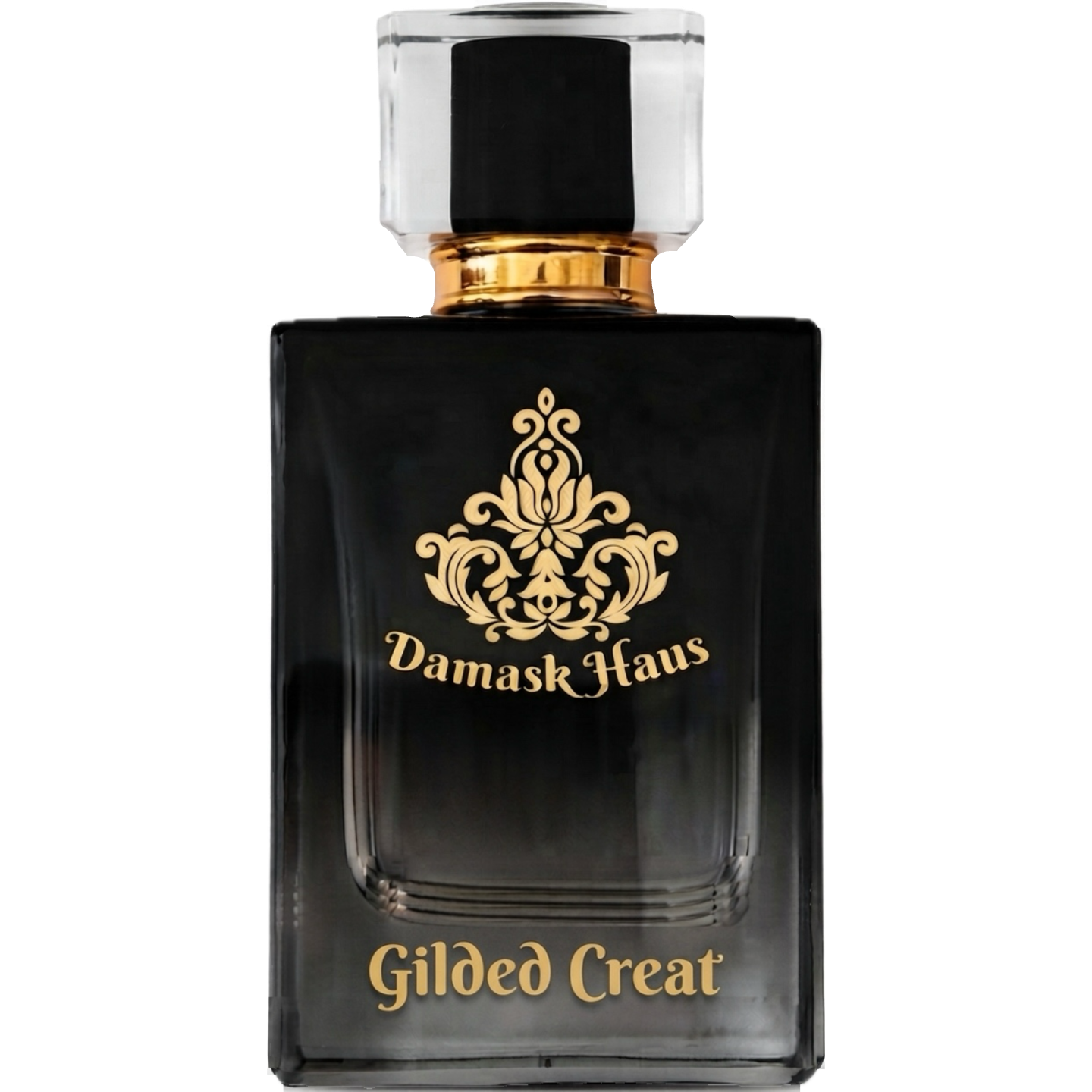 Gilded Creat by Damask Haus