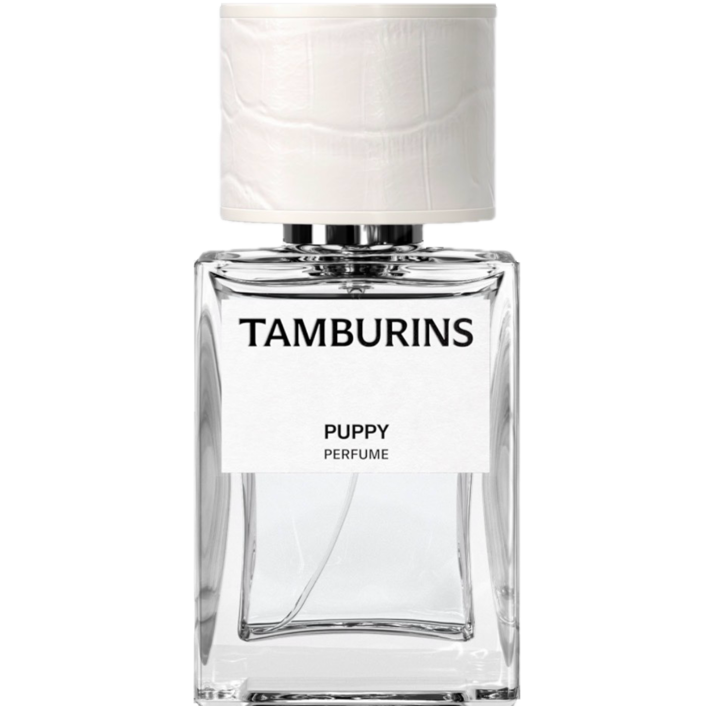 Puppy by Tamburins