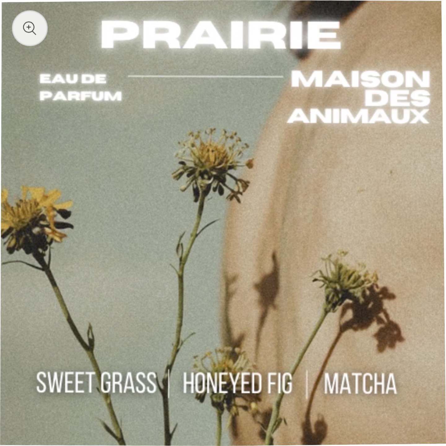 Prairie by Maison des Animaux