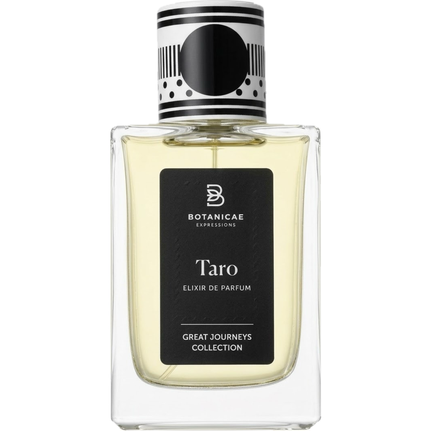 Taro by Botanicae Expressions