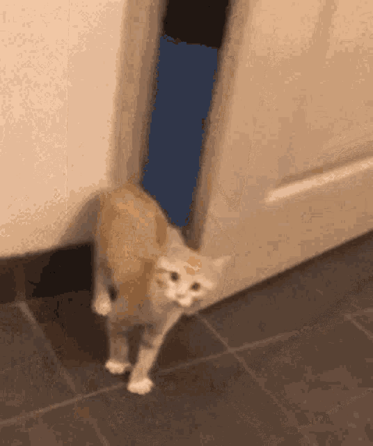 Attached image