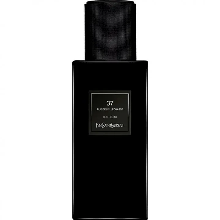 37 rue de Bellechasse by Yves Saint Laurent