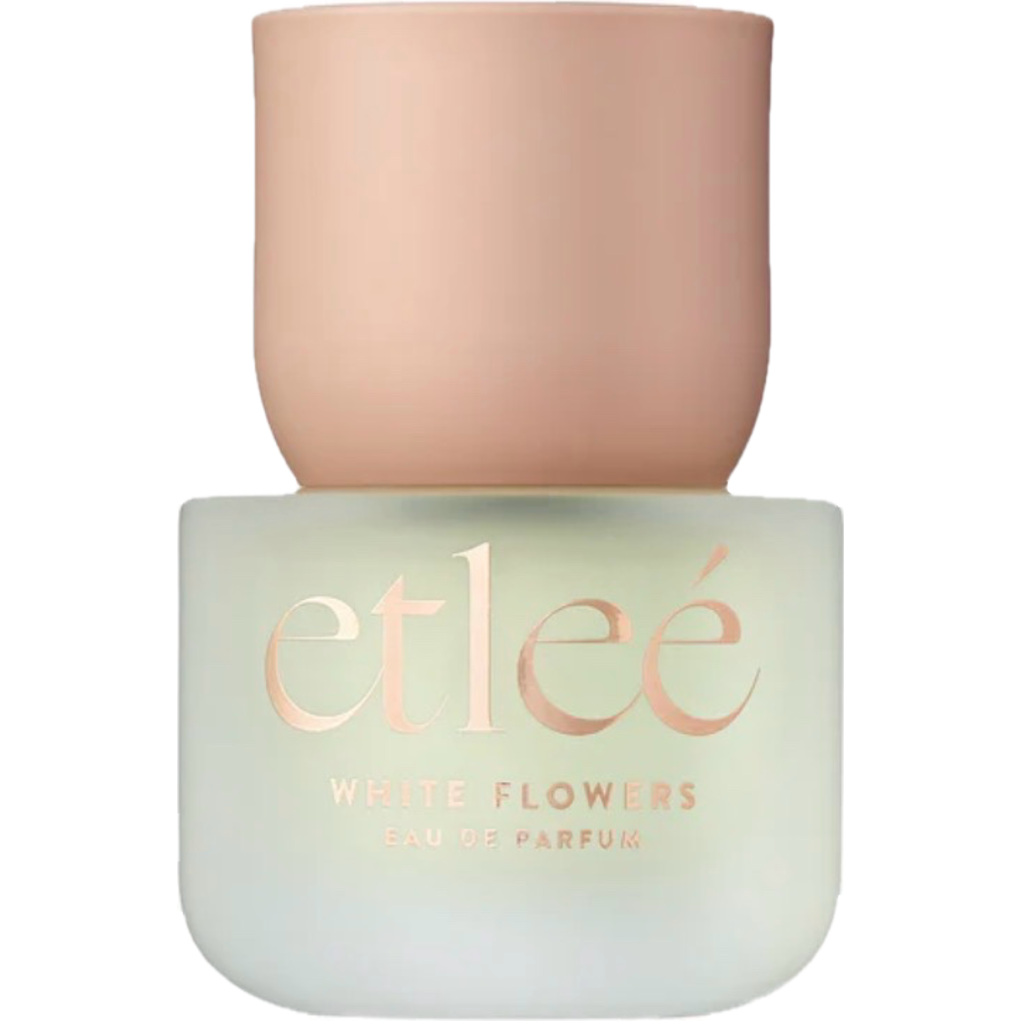 White Flowers by Etleé