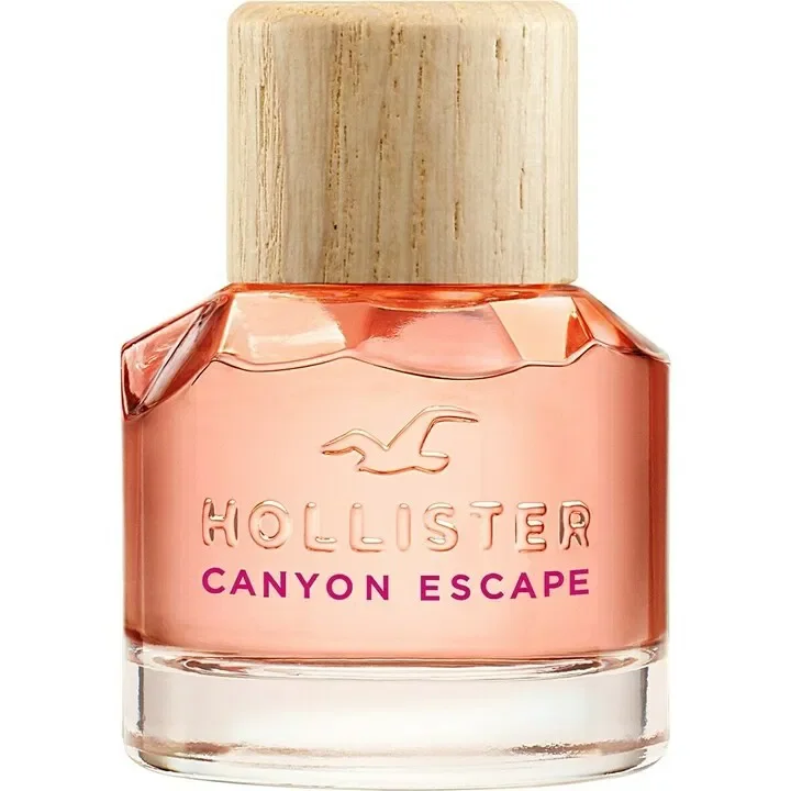 Hollister Canyon Escape Woman by Hollister