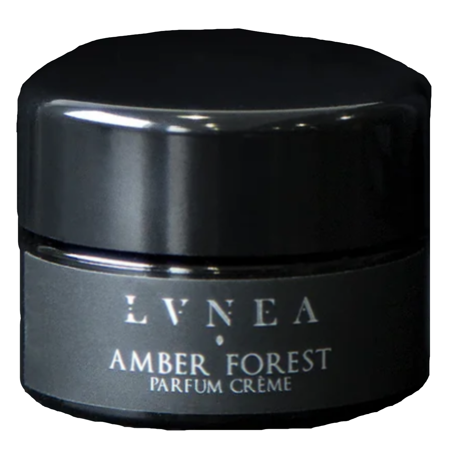 Amber Forest by LVNEA