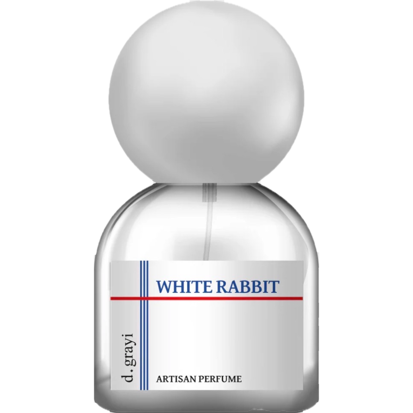 White Rabbit by d.grayi