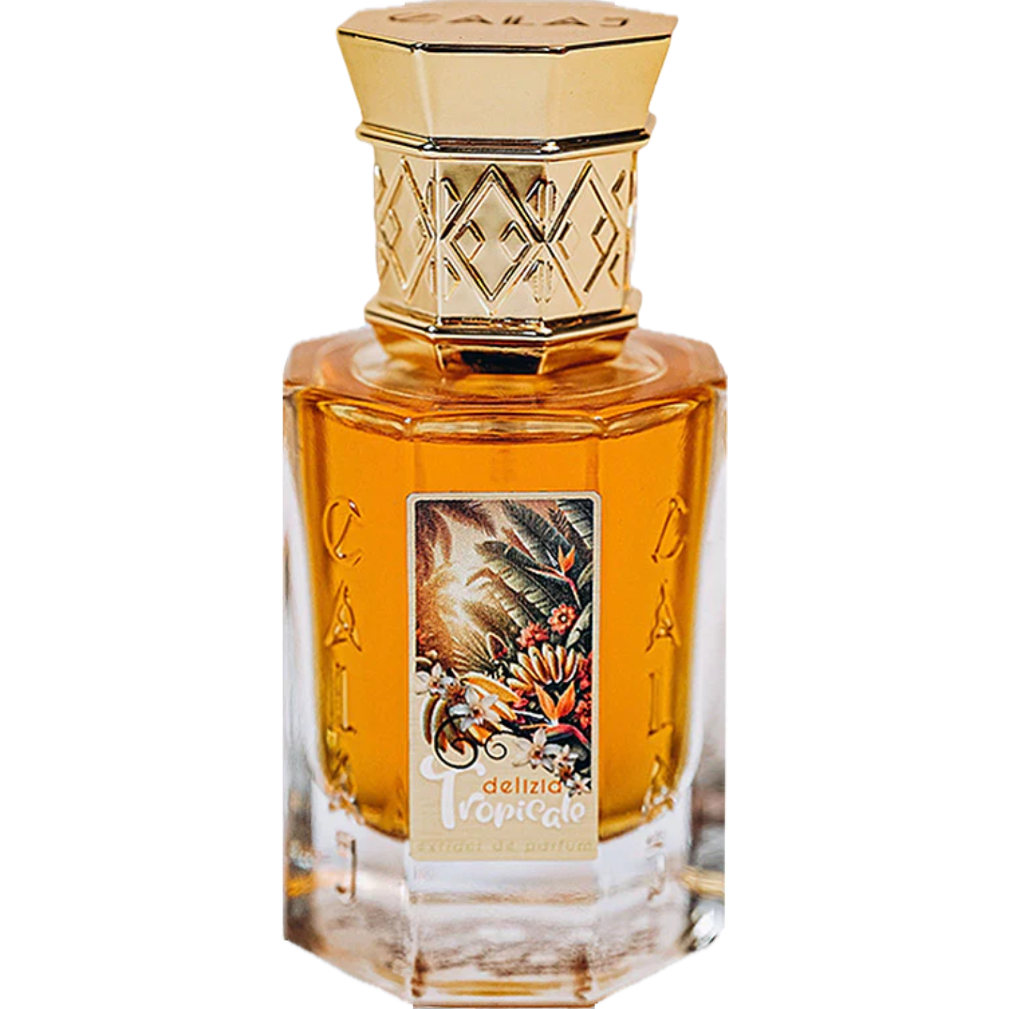 Delizia Tropicale by CALAJ