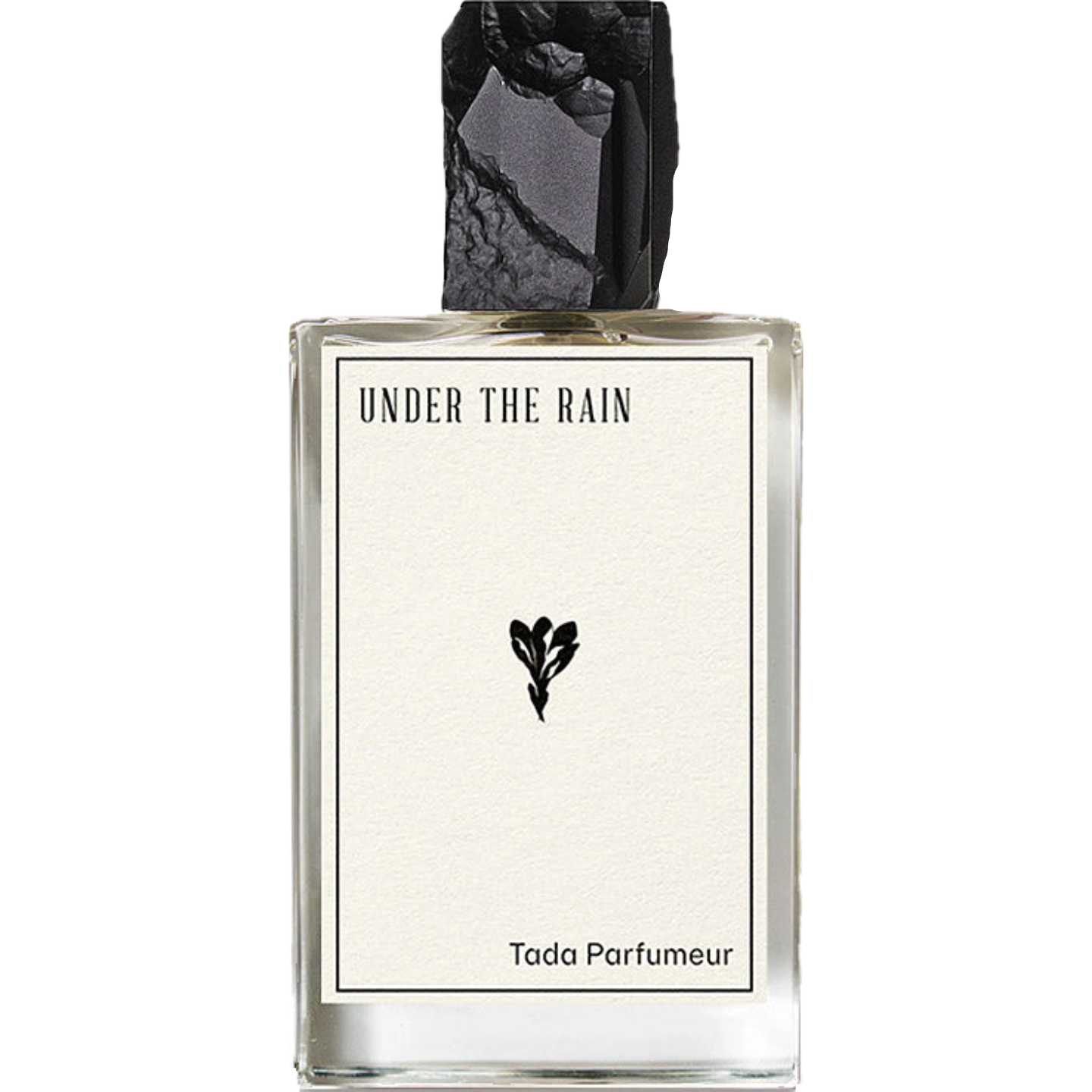 Under The Rain by Tada Parfumeur