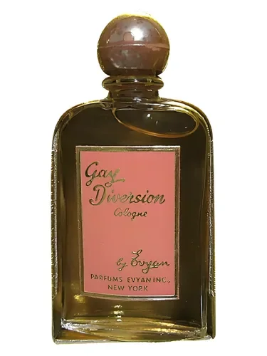 Gay Diversion by Evyan