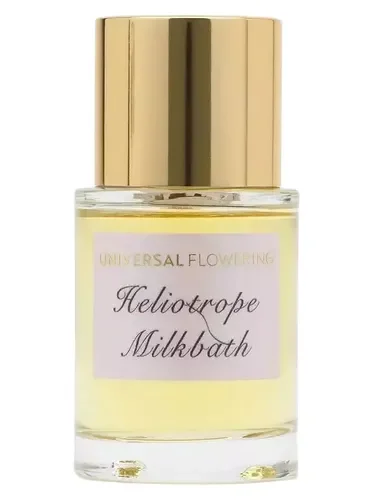 Heliotrope Milkbath by Universal Flowering