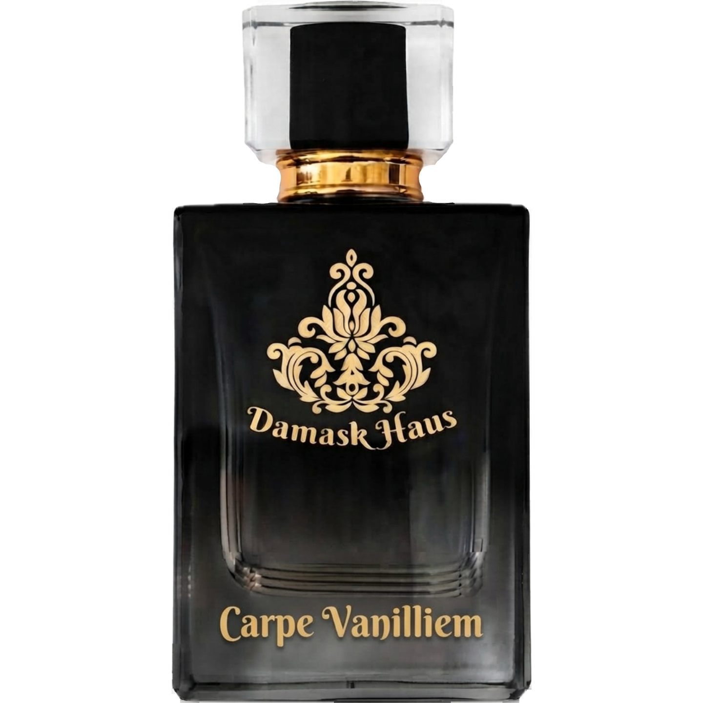 Carpe Vanilliem by Damask Haus