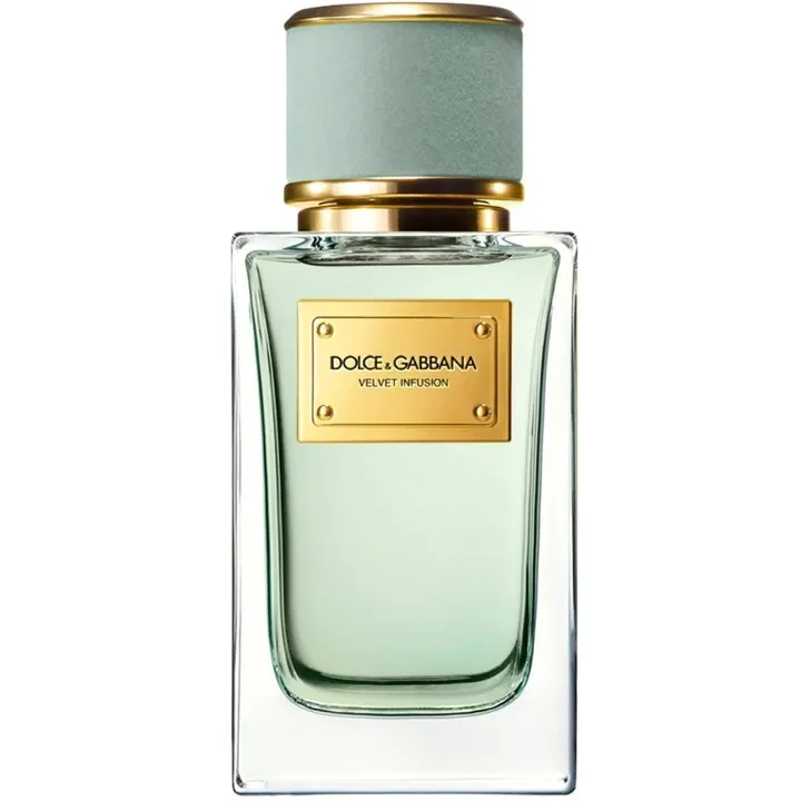 Velvet Infusion by Dolce & Gabbana