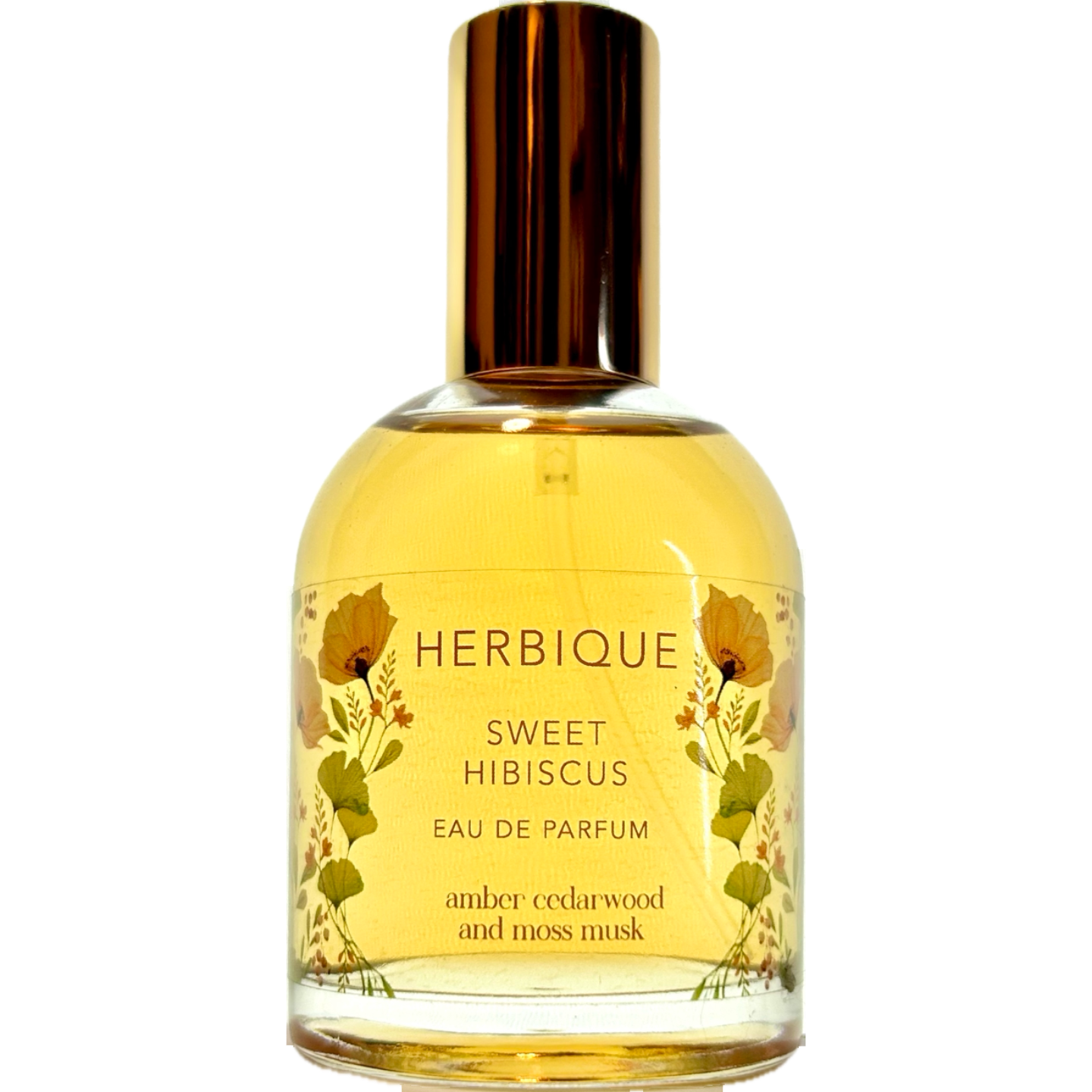 Sweet Hibiscus by World Market