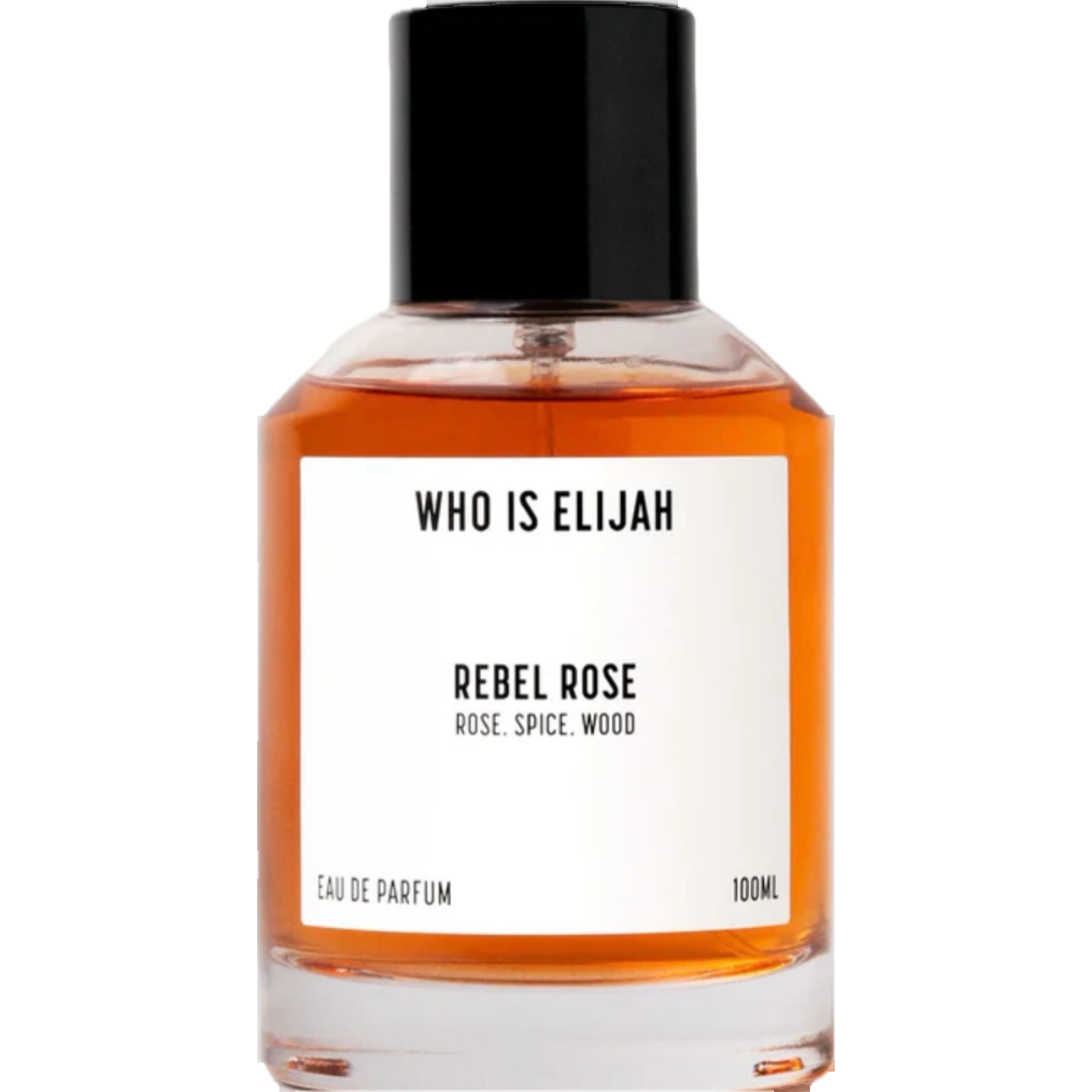 Rebel Rose by Who is Elijah