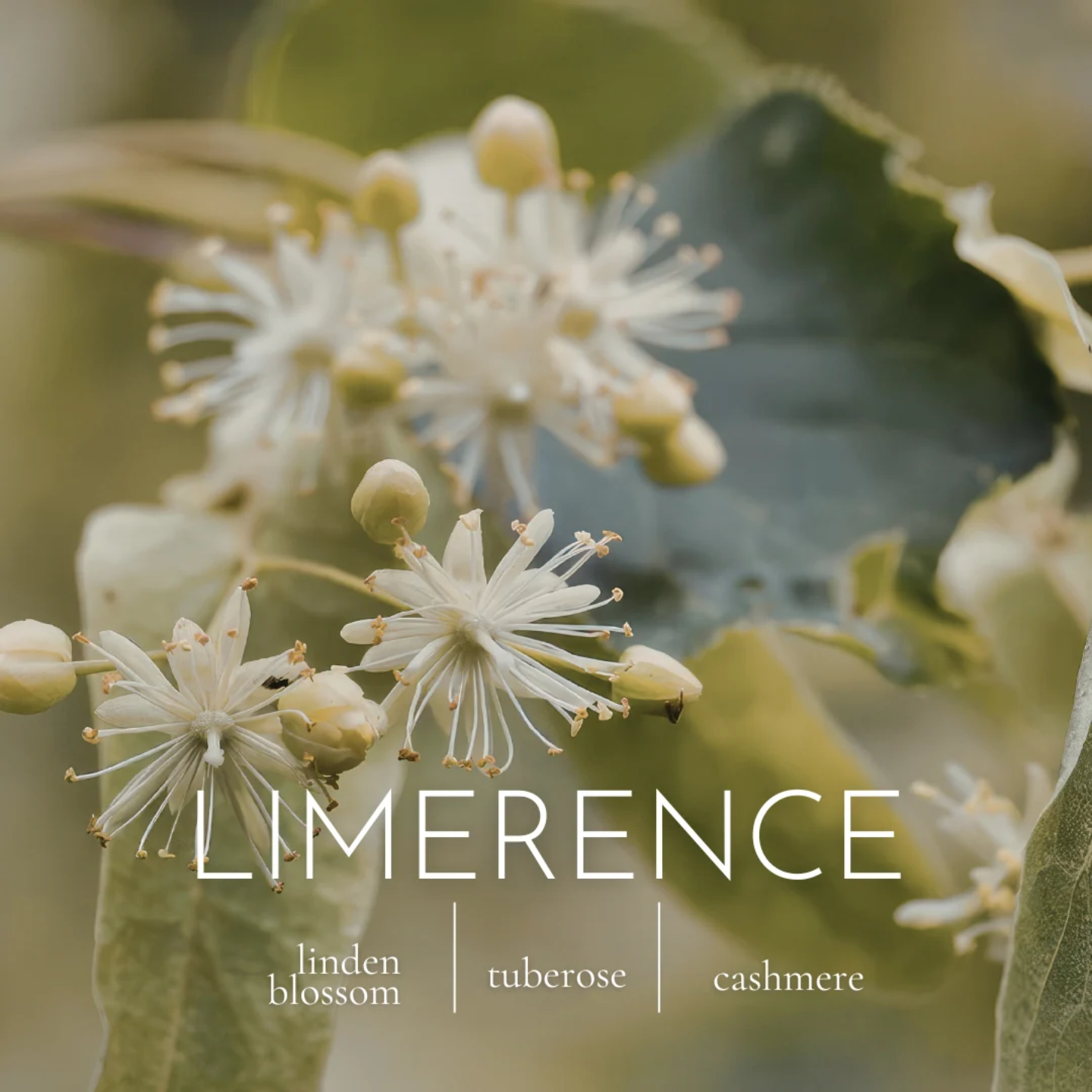 Limerence by Maison des Animaux