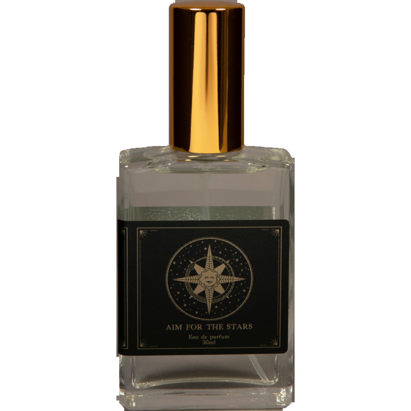 Aim For The Stars by The Society of Alchemists