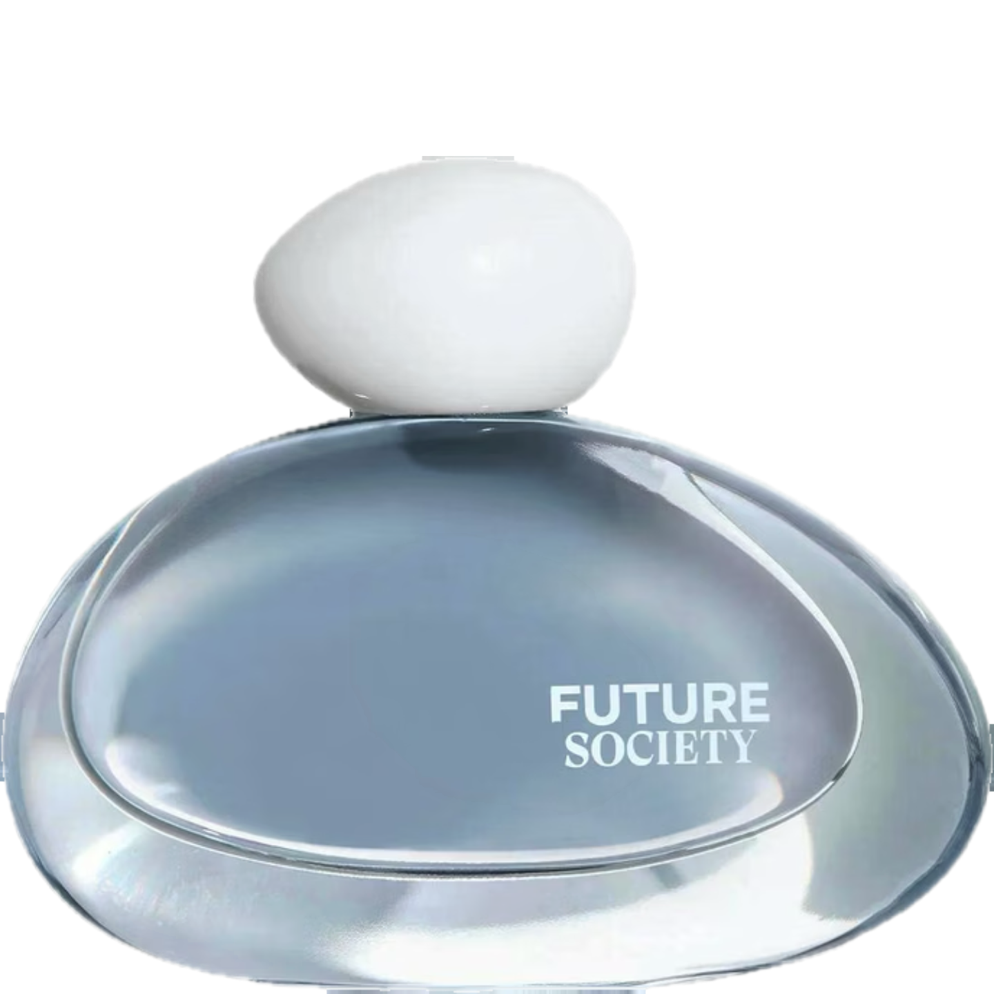 Wandering Rain by Future Society