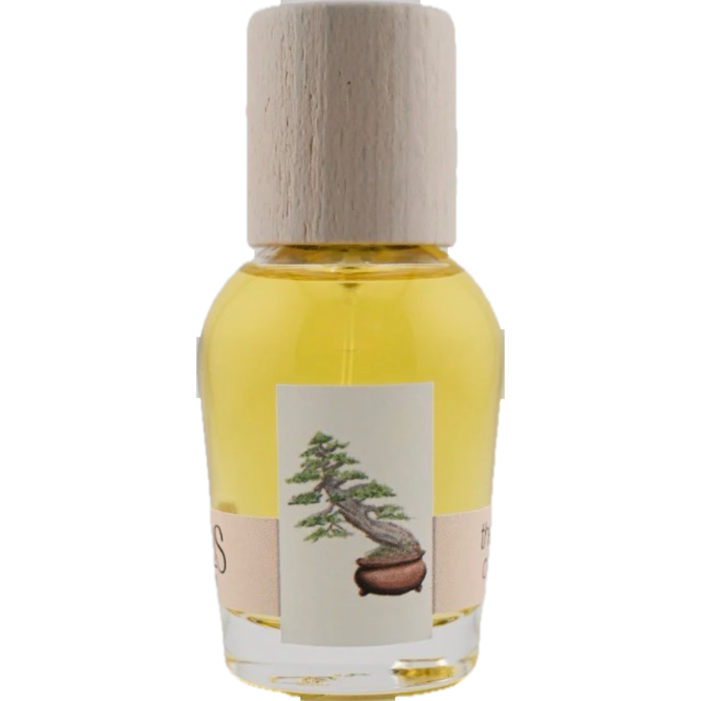The Idea of You by Cirrus Parfum