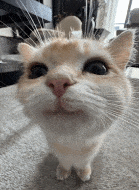 Attached image