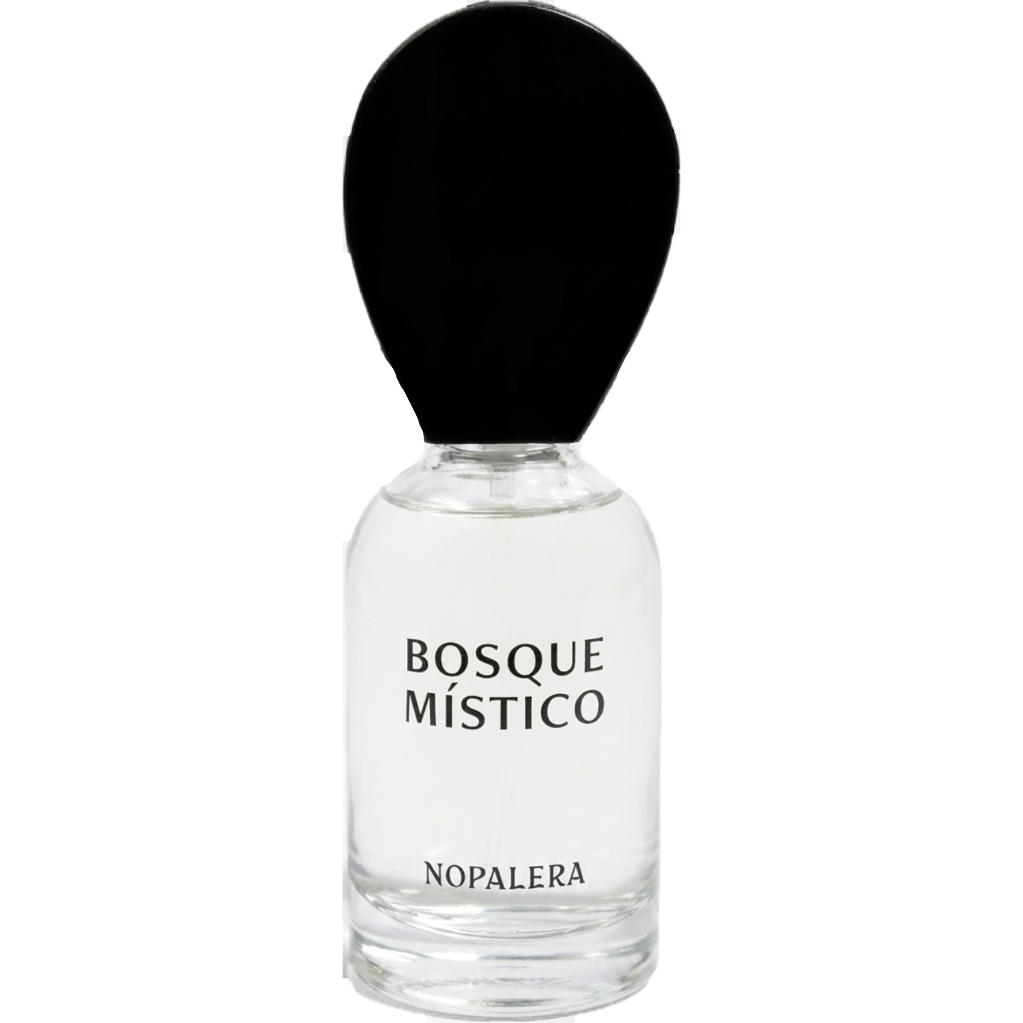 Bosque Místico by Nopalera