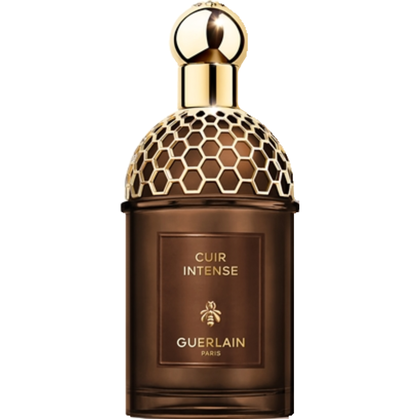Cuir Intense by Guerlain