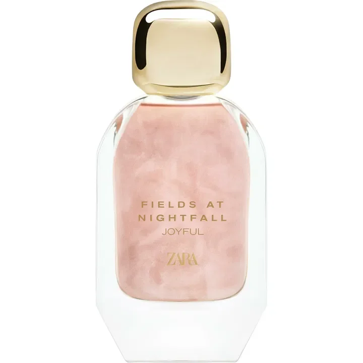 Fields At Nightfall by Zara