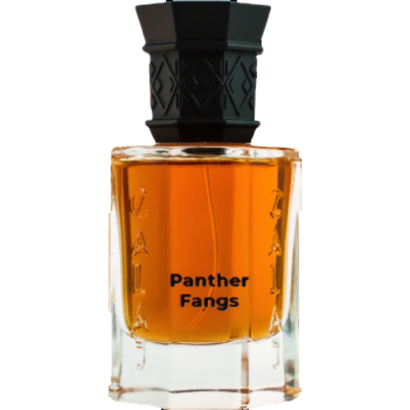 Panther Fangs by CALAJ