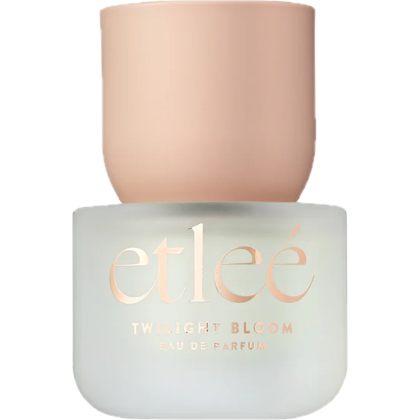 Twilight Bloom by Etleé