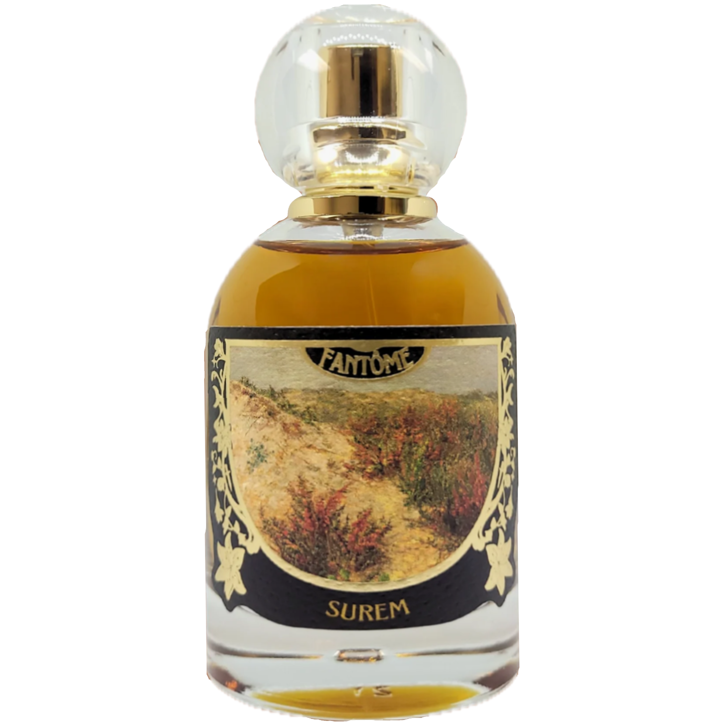 Surem by Fantôme