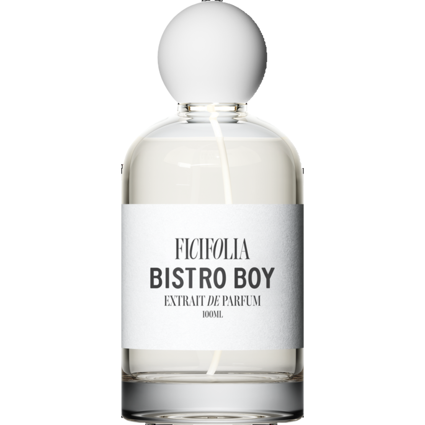 Bistro Boy by Ficifolia