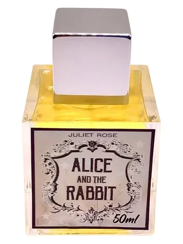 Alice & The Rabbit by Juliet Rose