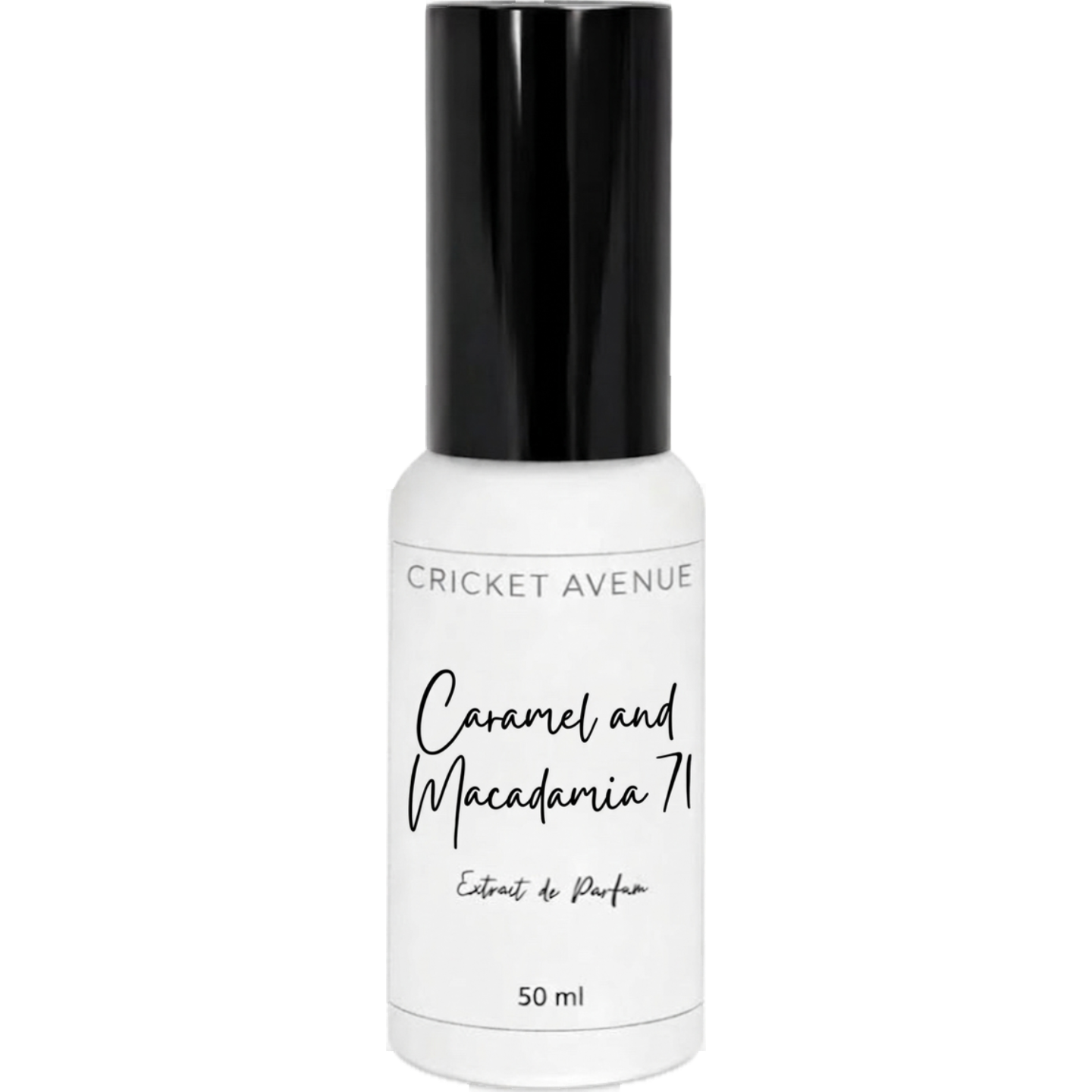 Caramel and Macadamia 71 by Cricket Avenue