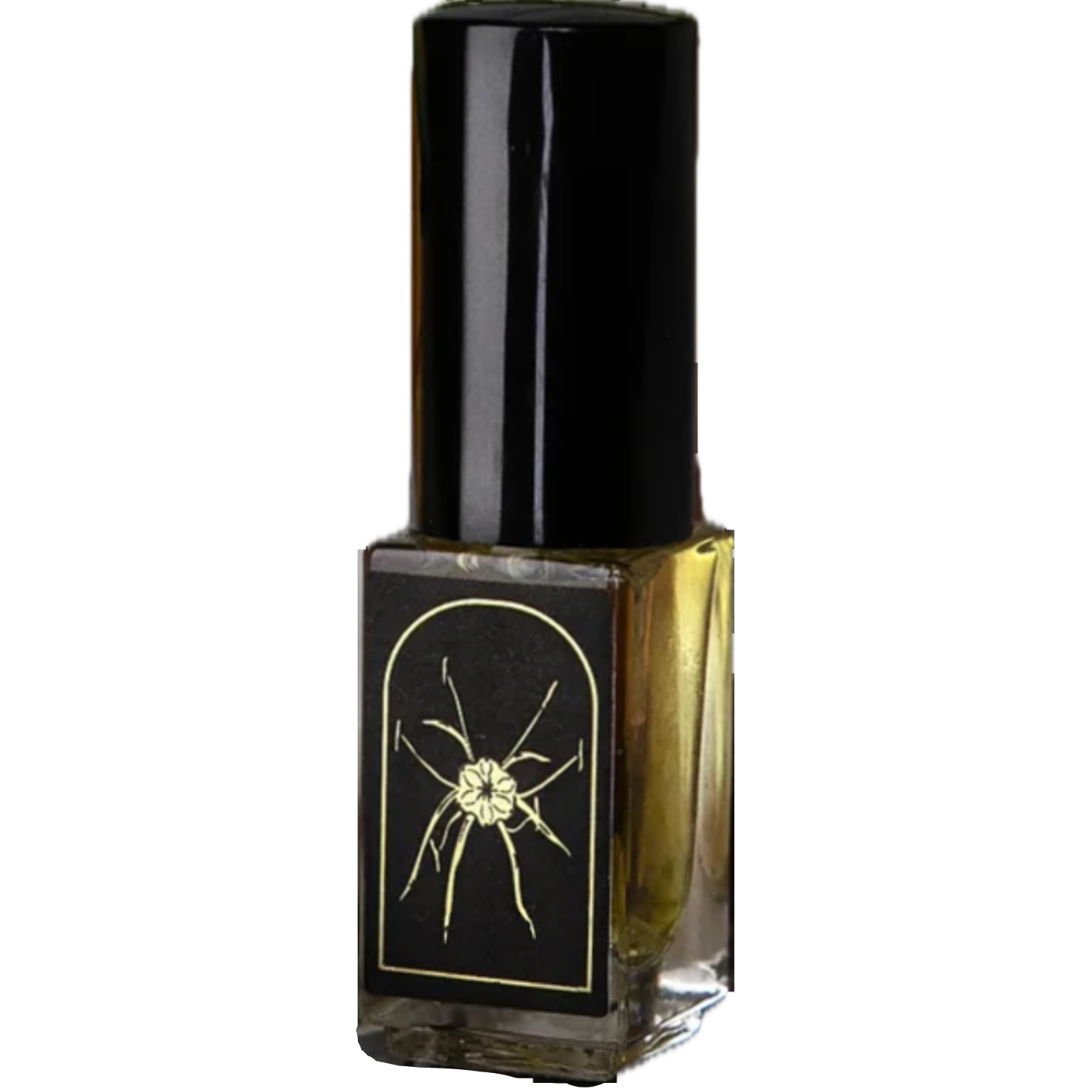 Spider Lily by LVNEA