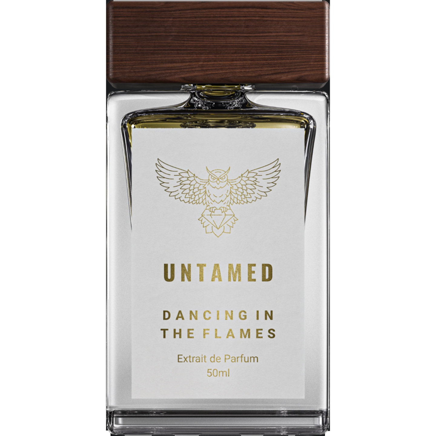 Dancing in the Flames by Untamed