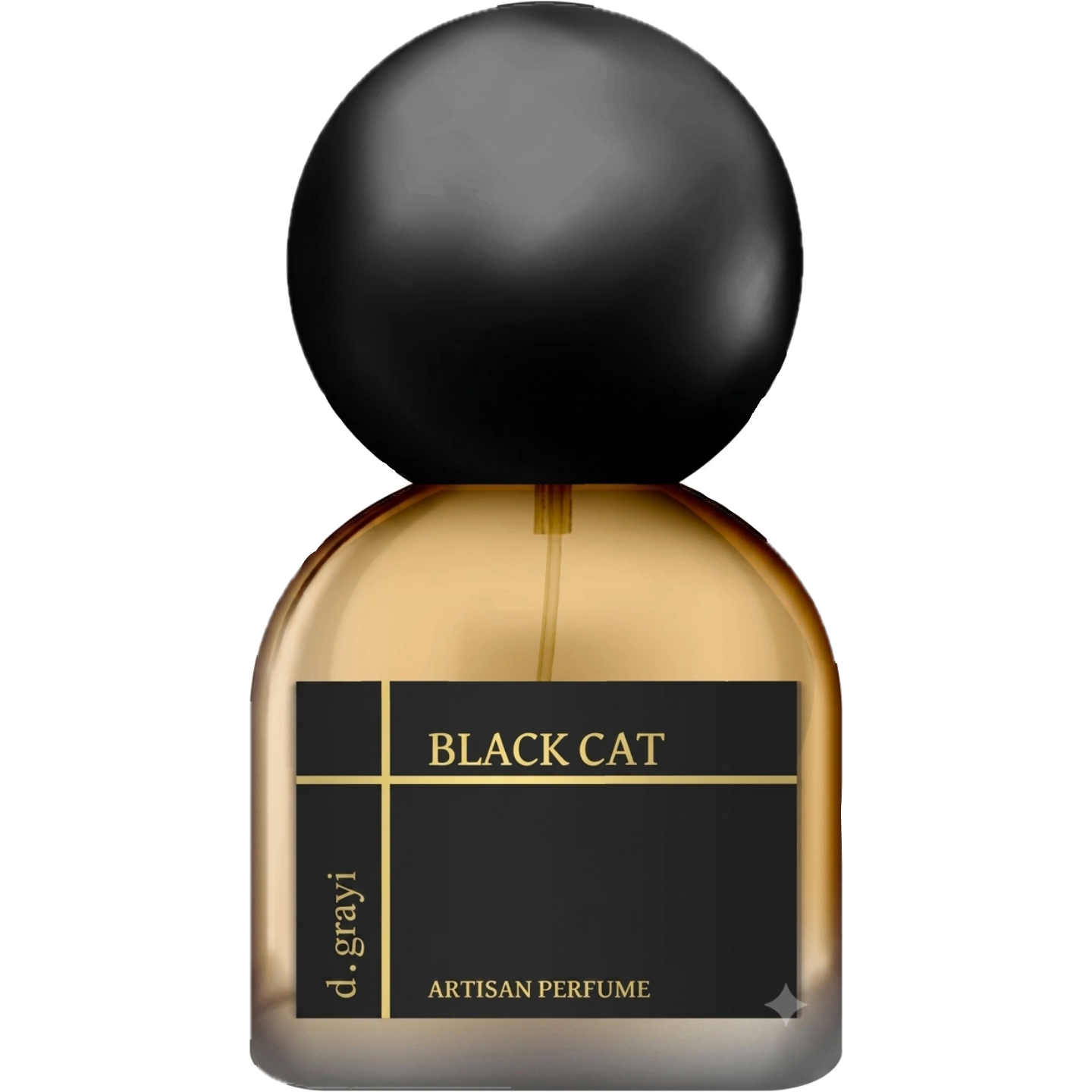 Black Cat by d.grayi