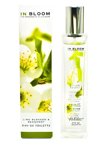 Lime Blossom and Bergamot by Marks & Spencer
