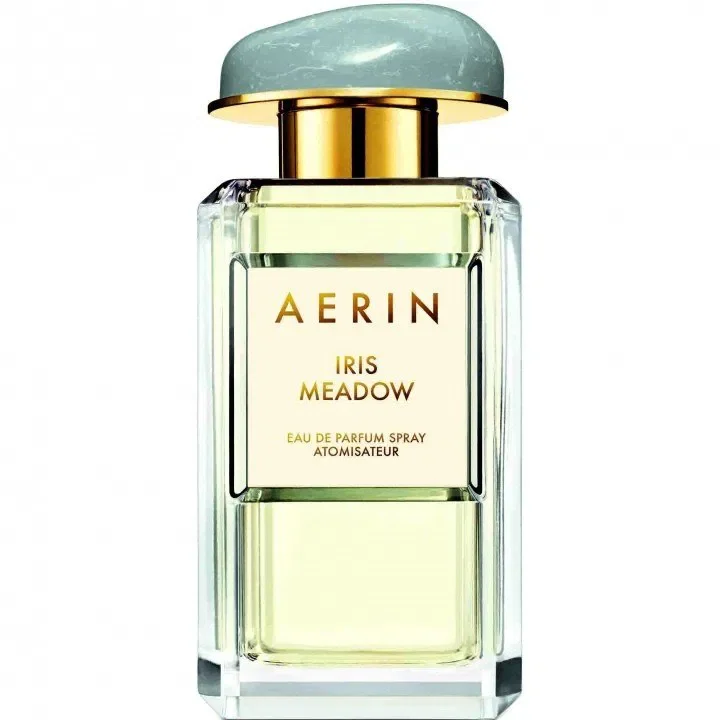 Iris Meadow by Aerin