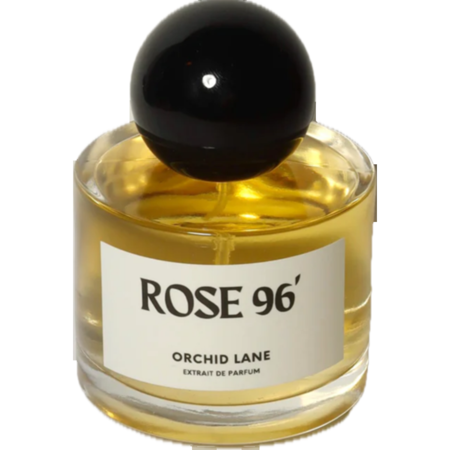 Rose 96’ by Orchid Lane