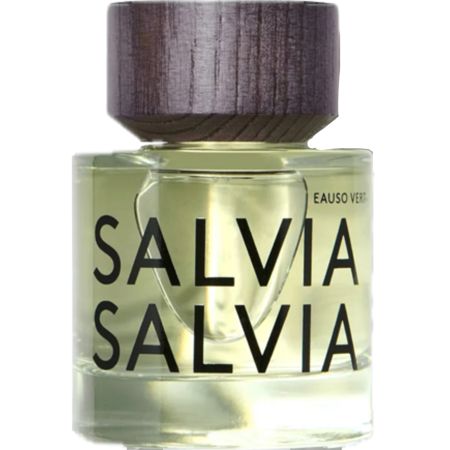 Salvia Salvia by Eauso Vert
